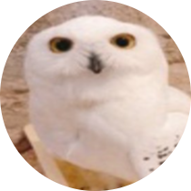Angel//Cookie
20(oct 9)
nsfw/ vore artist (ENDO ONLY)
MINOR/PROSHIPPERS/ZOOS DNI