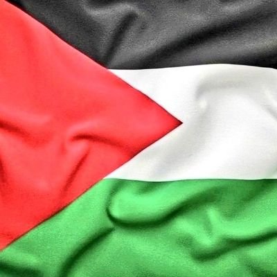 #PalestinaLibre. Es un orgullo y es un honor, haber luchado con Obrador