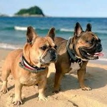 Natalhyyz's profile picture. 