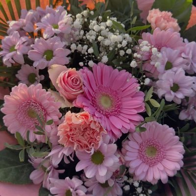 Preciou8731072's profile picture. 