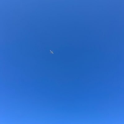 hon16997153's profile picture. 