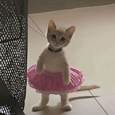 @PPl_aummm