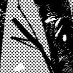 u8996373075880's profile picture. 20↑ ROM垢…🦀