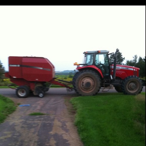 stavertfarms's profile picture. 