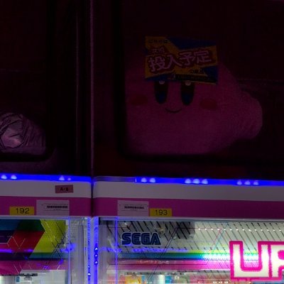 きゅーさんさんのプロフィール画像