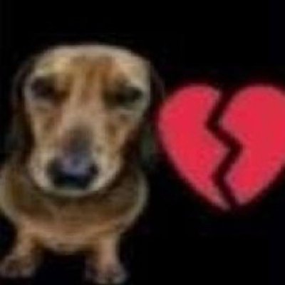 destinypunkstar's profile picture. 🧟‍♂️