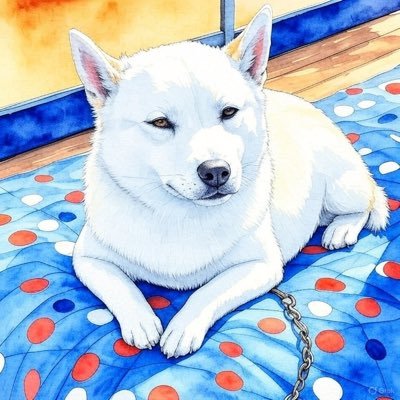 calnevale's profile picture. 広島→福岡→広島→東京 MTG レガシー ミドルスクール 稀に将棋