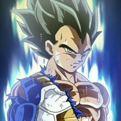 Vageta1181's profile picture. just a learner