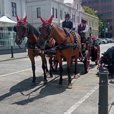 dinesh1271874's profile picture. 1988