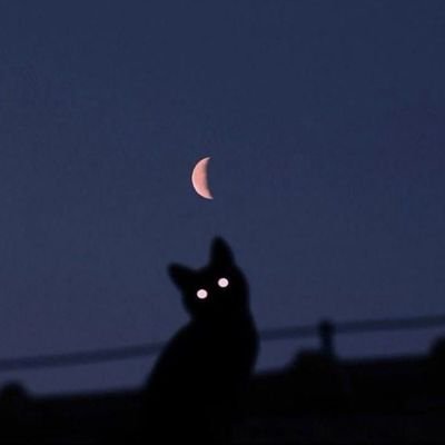 IguessNeo's profile picture. 