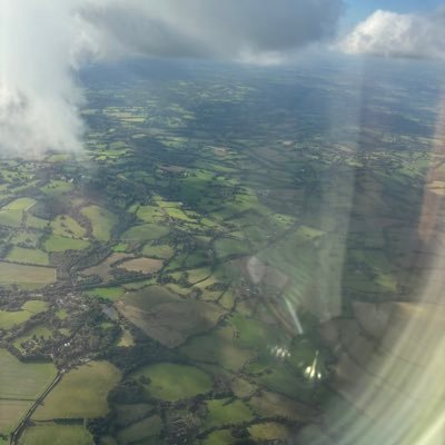 Freetospeak343's profile picture. 