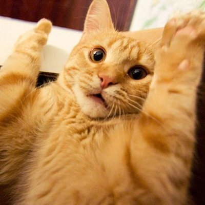 BONAbo_'s profile picture. Nothing to see ...