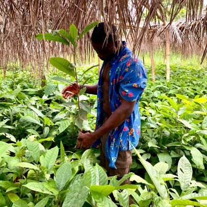 beplain_jr's profile picture. AGRICULTURE SERVICE