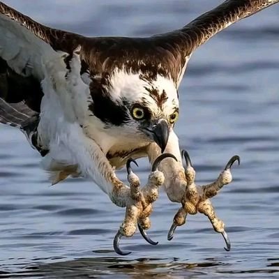 nnaemka69503's profile picture. A Forex Trader