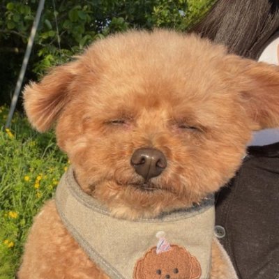 quotemeonthisさんのプロフィール画像