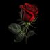 Velvity Rose (@velvityrose) Twitter profile photo Velvity Rose (@velvityrose) Twitter profile photo