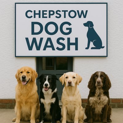 chepstow_CH's profile picture. A traditional award winning Coaching Inn. Serving delicious home cooked food & lovely B&B Rooms. We now have a self service Dog Wash! Tel: 01291 622626