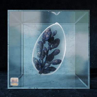 PriyankaDa8441's profile picture. 