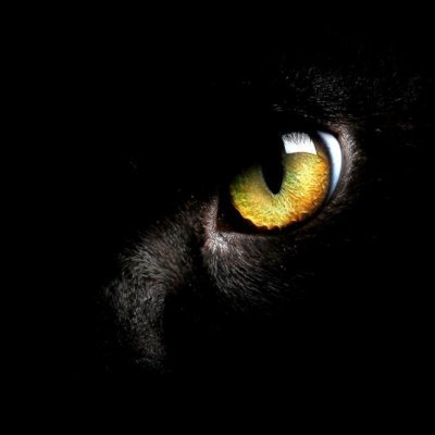 Slide7431's profile picture. Walk carefully through life to arrive safely at death.

Nog ongeveer 16 jaar ellende voor de grote opstand.
15