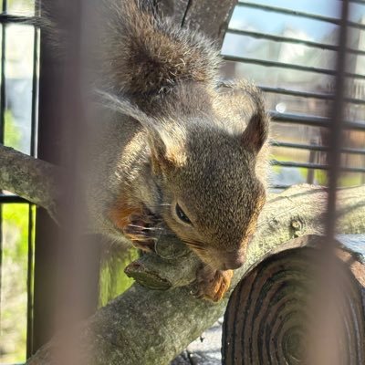 wazzaML04's profile picture. melodramatic fool