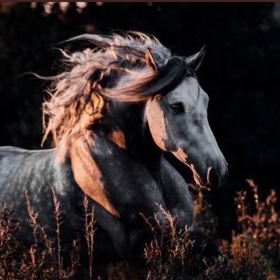 AlharbiFah71997's profile picture. 