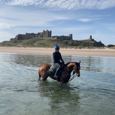 Dual purpose Racehorse Trainer springwoodracing@hotmail.com