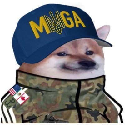 Shrimpfella's profile picture. NATO enthusiast • Atlantist gang 🔱• professional multipolar world hater • Ukraine enjoyer • Him/ Ars 🚀🚀🚀NAFO special bonk unit. SPECIAL LEO.
