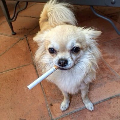 Palla destra di Sarri Profile