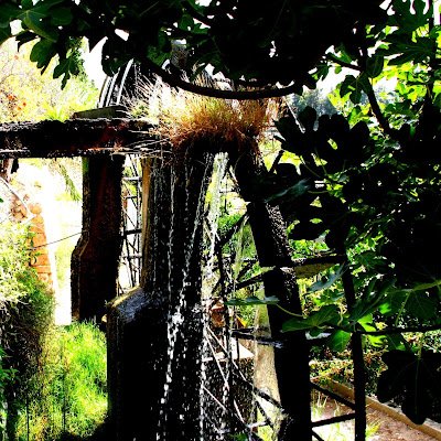 Jss_mtnz's profile picture. 