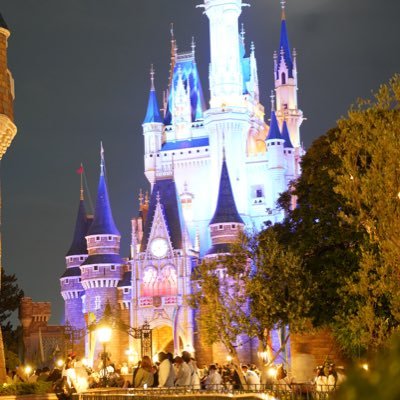 Tomo653650's profile picture. 🚹ディズニー用垢作りました。ビリーヴ観てからディズニーの世界にどっぷりハマってます a7c📸 パレードや風景撮りに行ってます。 無言フォローすみません😑