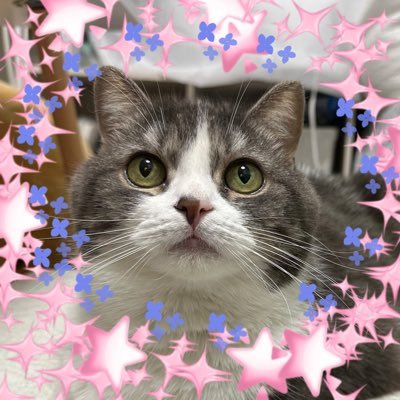 猫田 らむ 絵日記つけてます | . お風呂屋さんに行ってきた^_
