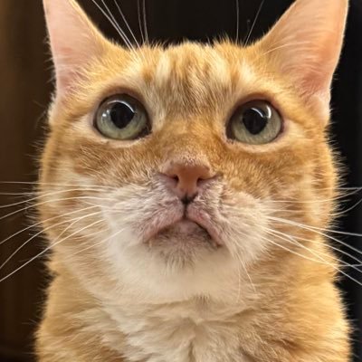Jさんのプロフィール画像