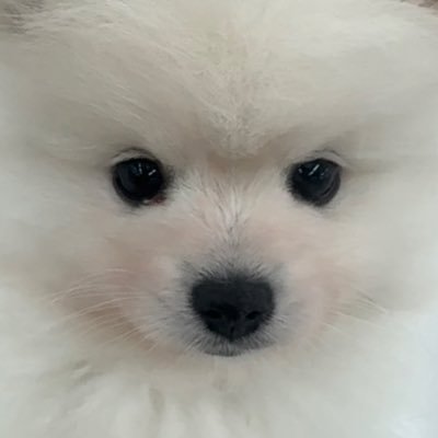 _vlsjtd's profile picture. 美大生 Instagram id→_vlsjtd