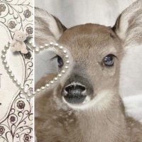 plus sized yumes ۫ ꣑ৎ (@plusyumes) 's Twitter Profile Photo plus sized yumes ۫ ꣑ৎ (@plusyumes) 's Twitter Profile Photo