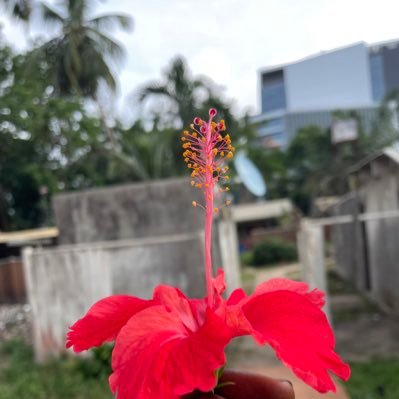 self love