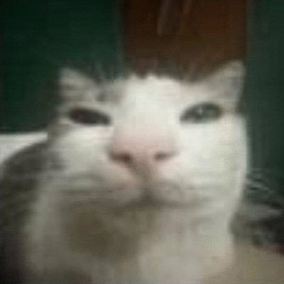 ぱさんのプロフィール画像