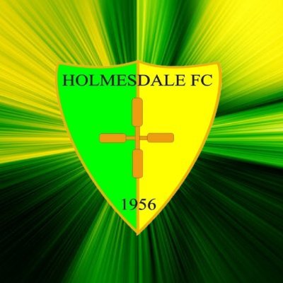 Holmesdale 1956 FC Profile