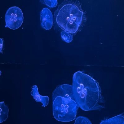 readbook202rena's profile picture. 