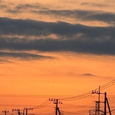 Bf54R3's profile picture. マジでコミュ障すぎて辛い