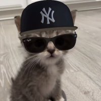 savi.a (@savciooo) 's Twitter Profile