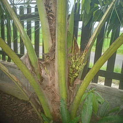 Laratse2020's profile picture. Bekerja keras