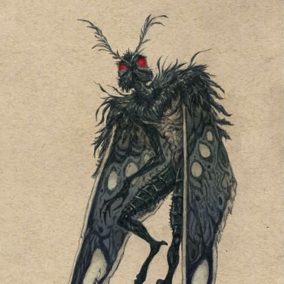 MothManni's profile picture. 