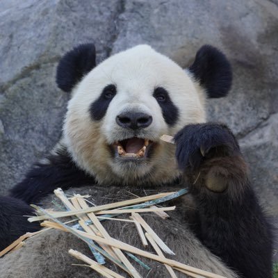シンプルイズベスト。