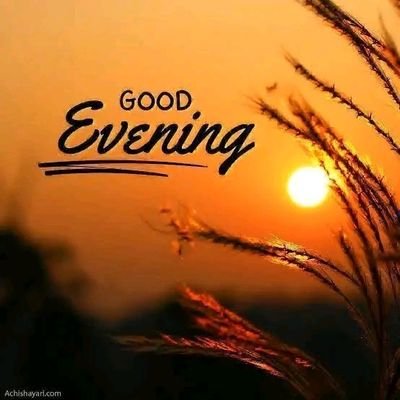 zeccodrogb30435's profile picture. 