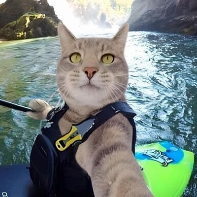 lowtabO's profile picture. FN grind🌥️🏝️