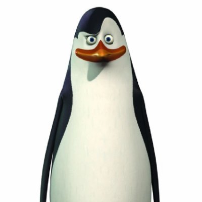 TidyQuial's profile picture. Starting on @polymarket and tracking all my progress