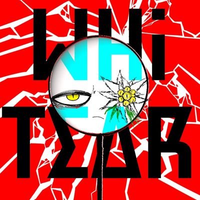 カソケ💣💥さんのプロフィール画像