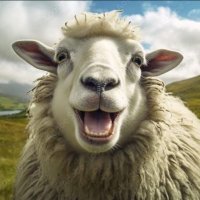 Chew Wiee (@chew_wiee98210) 's Twitter Profile