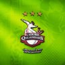 lahoreqalandars's profile picture. 3xChampions @thePSLt20