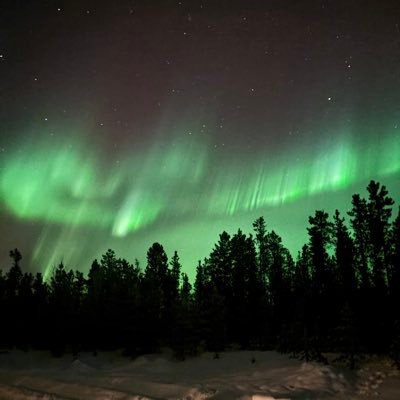 T3xKn's profile picture. 成人女 ｵﾊﾞと出会い生まれ変わりました。 無言フォロー失礼致します。 🌏。ｵｸﾊﾞﾃﾞフベラファ/💯Ⓜ️ 宮トガ